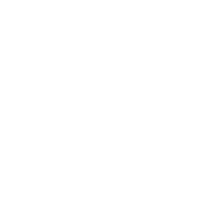 Bison icon