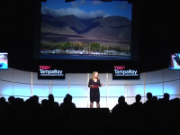 A speaker presenting to a crowd